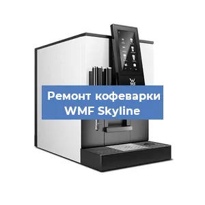 Чистка кофемашины WMF Skyline от накипи в Нижнем Новгороде